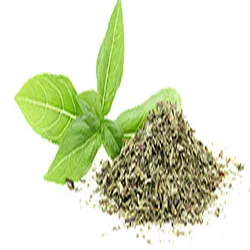 basilico