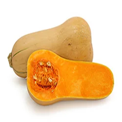 zucca butternut