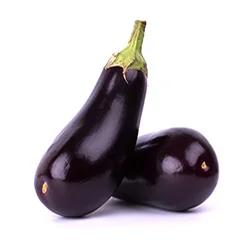 berinjela