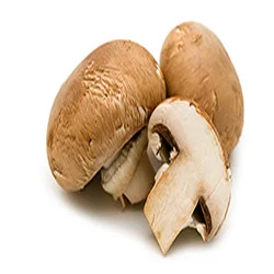 Champignon