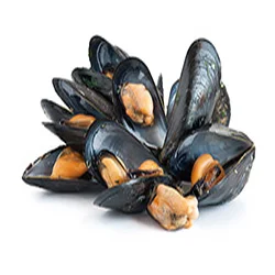 mussel