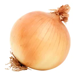 yellow onion