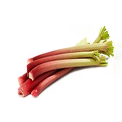 rhubarbe