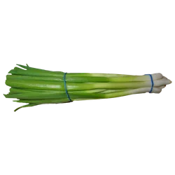 scallion