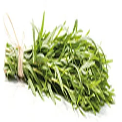 إستراغون