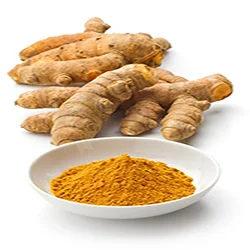 curcuma