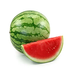cantaloupe